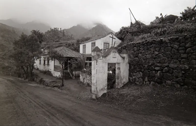Vélez de Ontanilla o Pinto de Guisla - Las Nieves